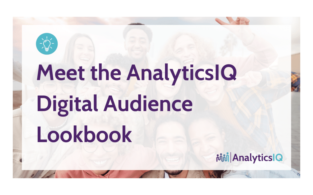 Unlock the Power of Data-Driven Digital Advertising with The AnalyticsIQ Digital Audience Lookbook